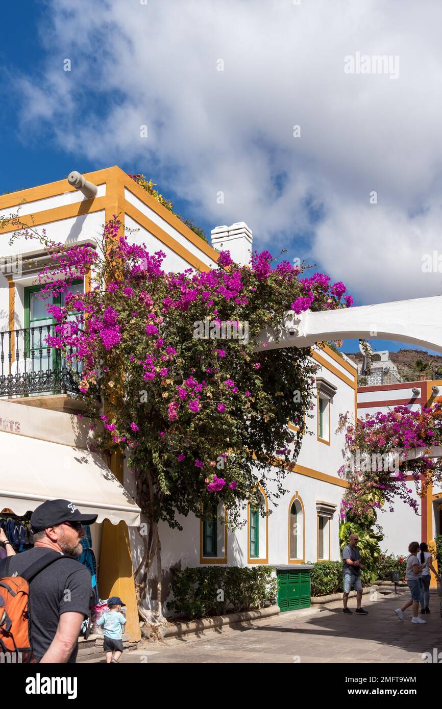 PUERTO DE MOGAN, GRAN CANARIA, Isole CANARIE - MARZO 7 : Bougainvillea a Puerto de Mogan Gran Canaria il 7 Marzo 2022. Persone non identificate Foto Stock