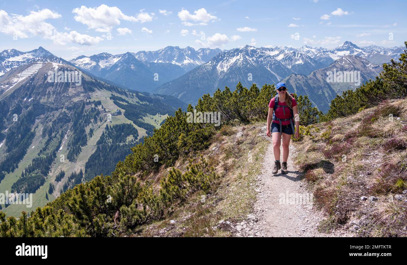 Escursionista, escursione a Thaneller, Alpi Lechtal Orientali, Tirolo, Austria Foto Stock