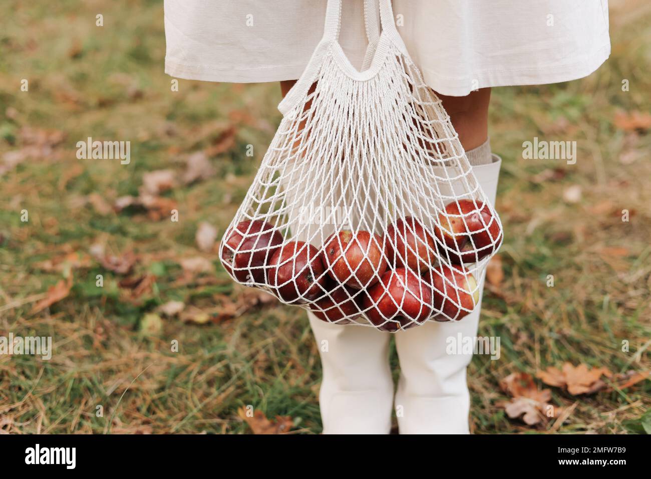 Borsa a corda con mele rosse. Vista delle gambe femminili in stivali bianchi che attraversano il giardino autunnale con borsa ecologica in mano. Concetto di zero sprechi. Nessuna plastica Foto Stock