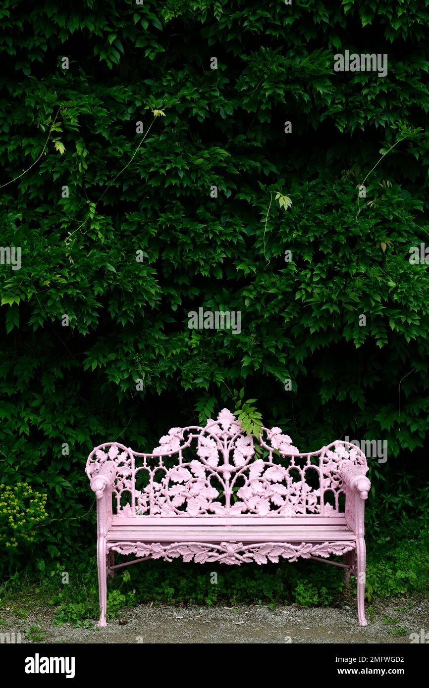 Panca da giardino in ferro battuto rosa, panca da giardino ornata, sedie da giardino ornata, panca vecchio stile, posti a sedere, sedia da giardino caratterizzata, sedile caratteristica, camera Flor Foto Stock