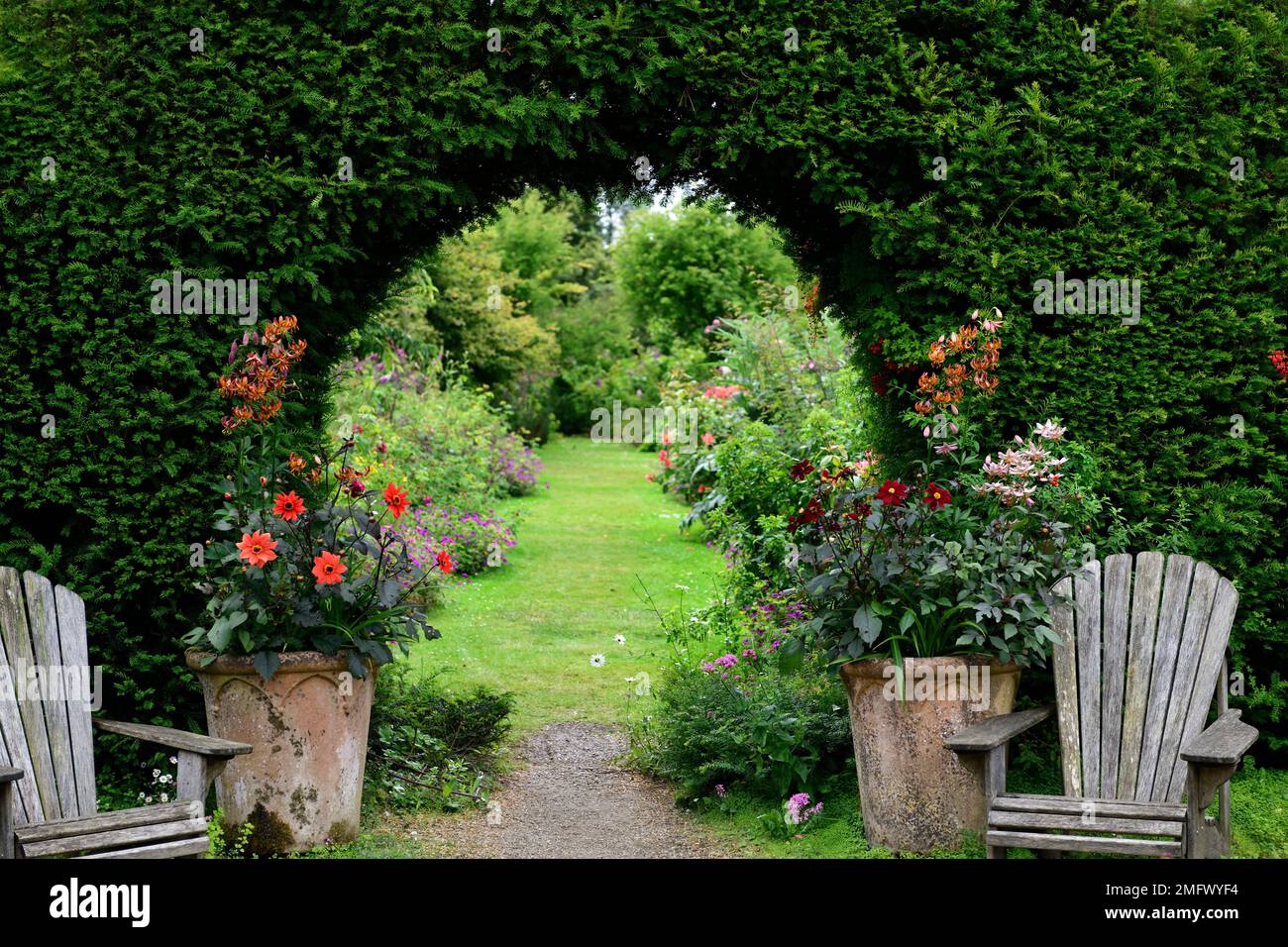 yew hedge moongate, luna gate in yew hedge, moongate in hedge, siepe sempreverde, yew hedging, giardino design, giardino caratteristica, RM Floral Foto Stock