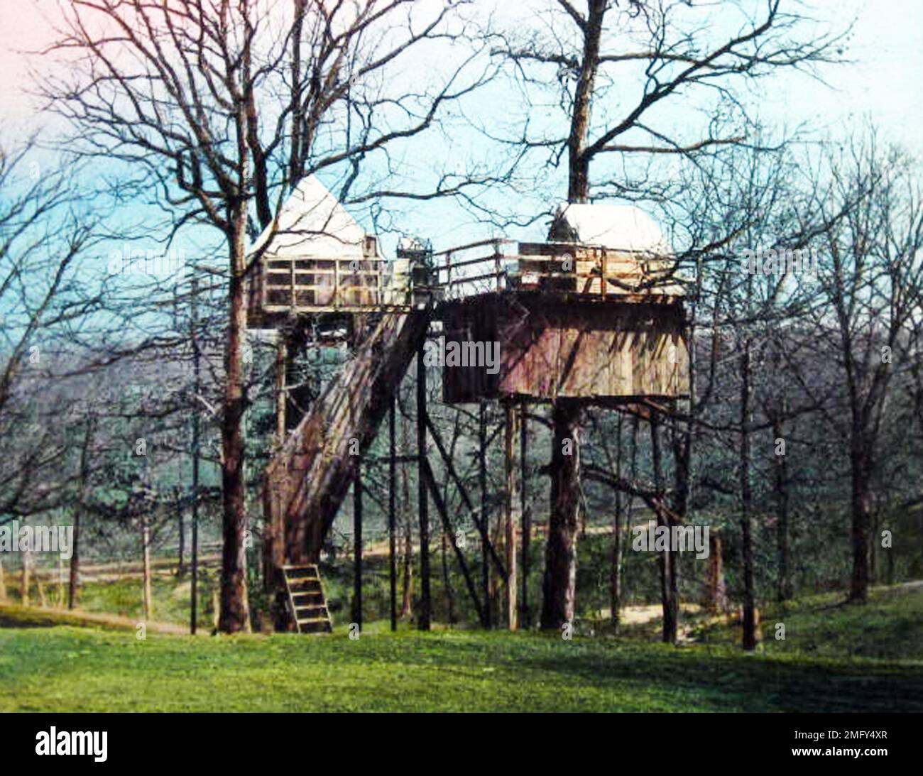 Casa di Allen B. Hayward, 'l'uomo che ha vissuto in un albero', Washington DC, USA, periodo vittoriano Foto Stock