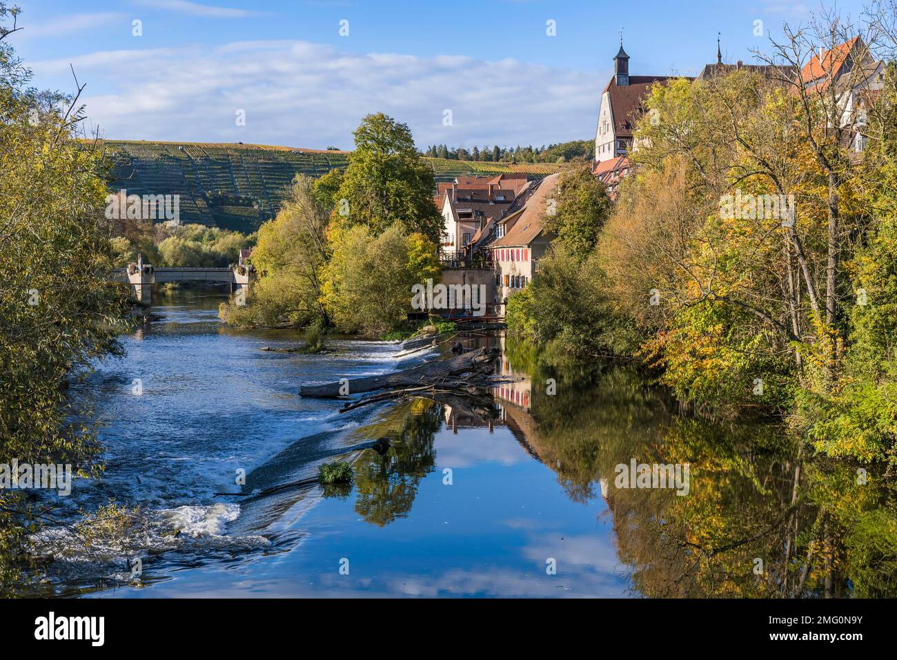 Besigheim con il suo fiume Enz, Baden-Württemberg, Germania Foto Stock