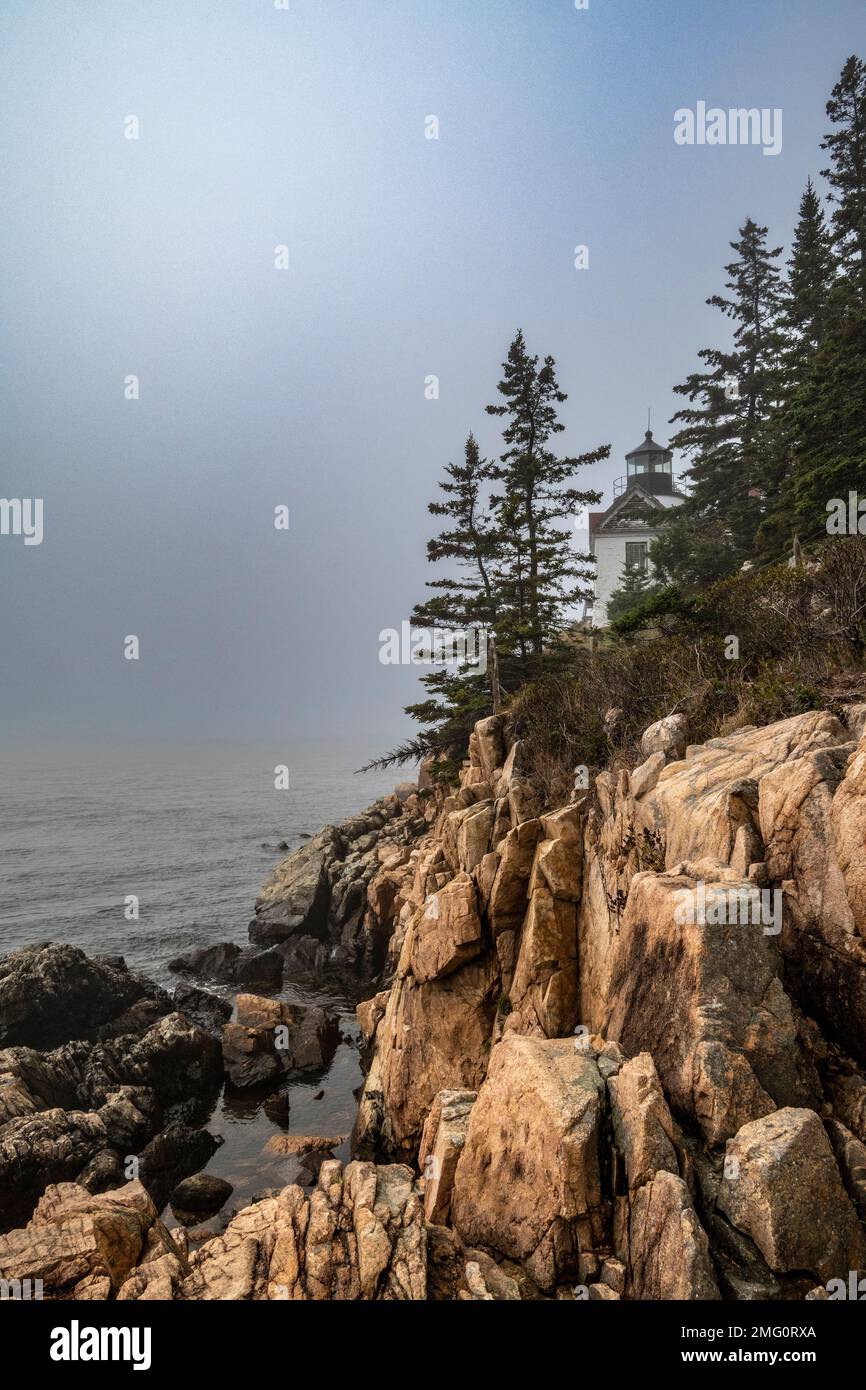 Bass Harbor Head Light è un faro situato all'interno dell'Acadia National Park, nella parte sud-occidentale di Mount Desert Island, Maine, che segna l'ingresso Foto Stock