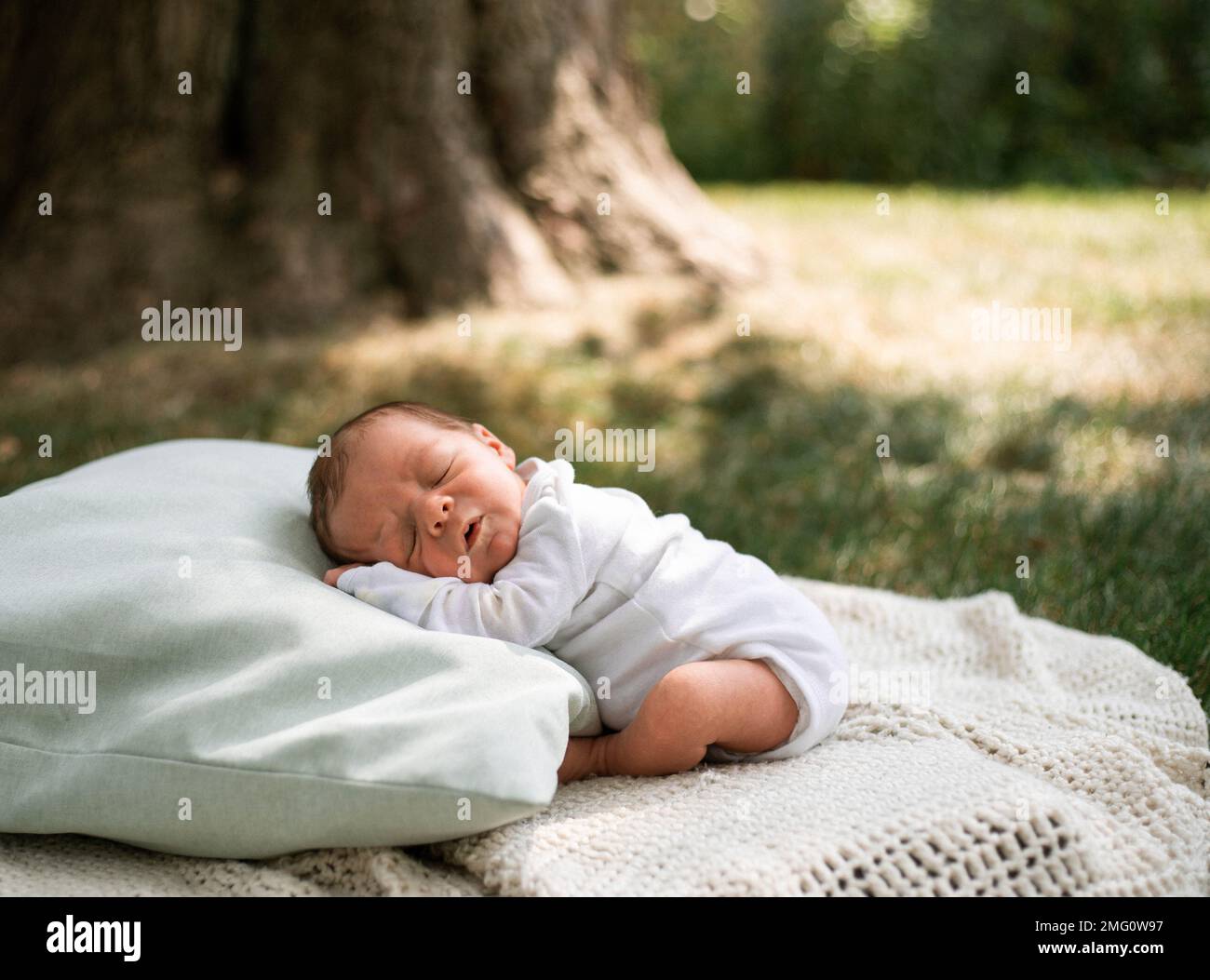 Il neonato si posa su una coperta con cuscino in erba con gli occhi chiusi e un grande albero sullo sfondo con la luce del sole che scorre Foto Stock