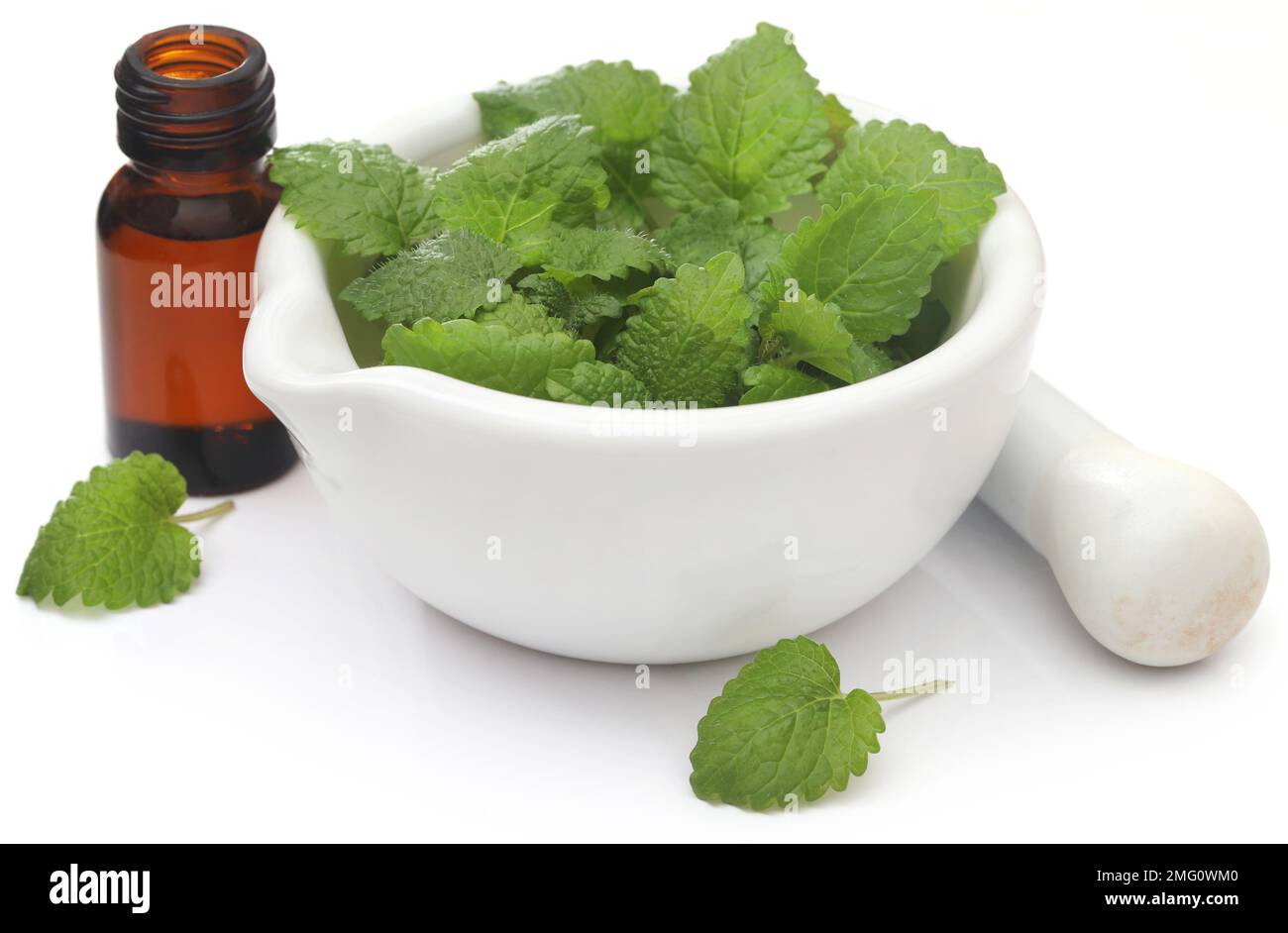 Foglie di balsamo al limone con olio essenziale estratto in bottiglia Foto Stock