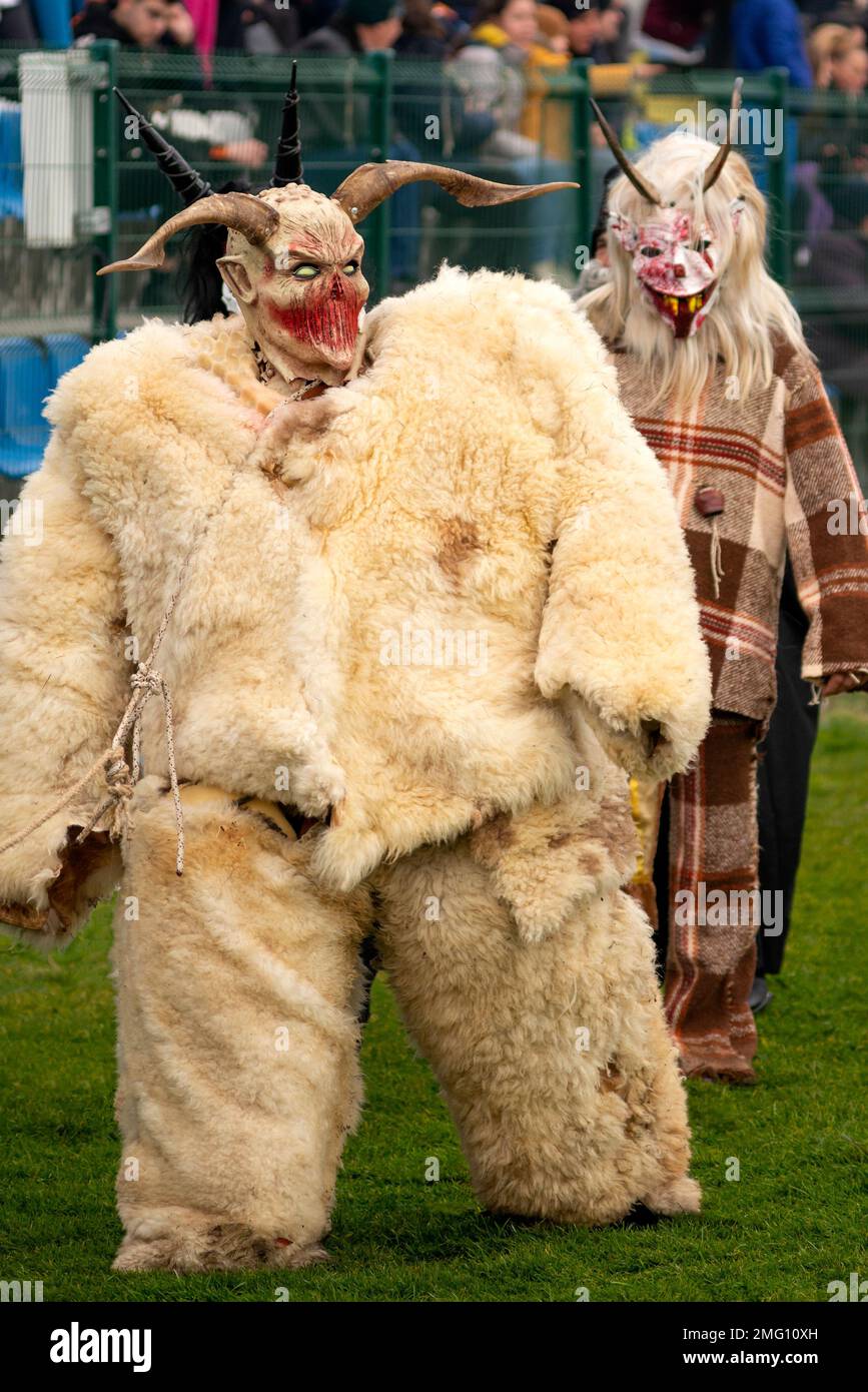 Partecipanti come strani personaggi in costumi divertenti all'annuale  festival invernale di Simitlia Kukeri a Simitli, nella contea di  Blagoevgrad, Bulgaria Foto stock - Alamy