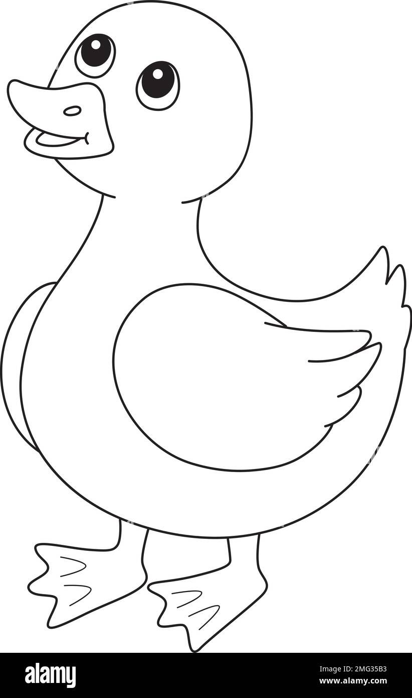 Primavera Duckling isolato colorazione pagina per bambini Illustrazione Vettoriale