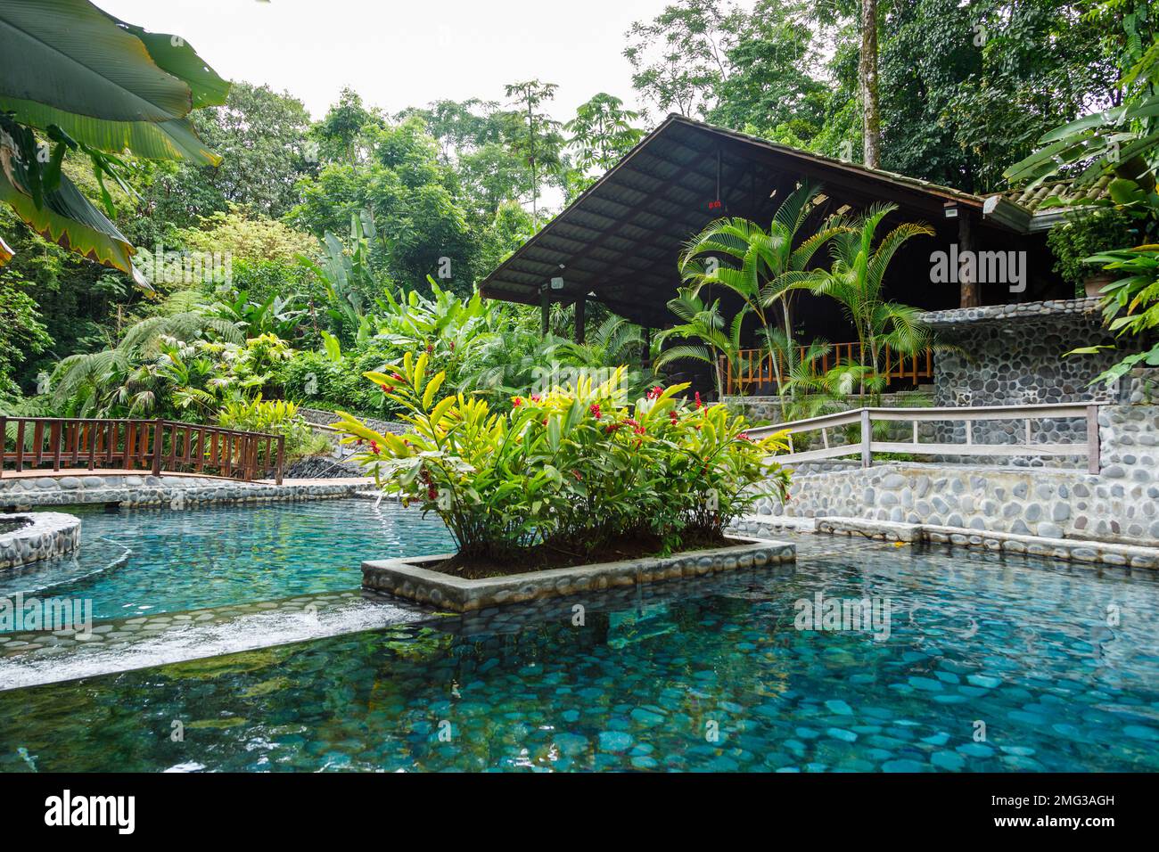 Piscina termale tropicale circondata dalla vegetazione della foresta pluviale a Ecotermales fortuna a la fortuna, nella provincia di Alajuela, Costa Rica. Foto Stock