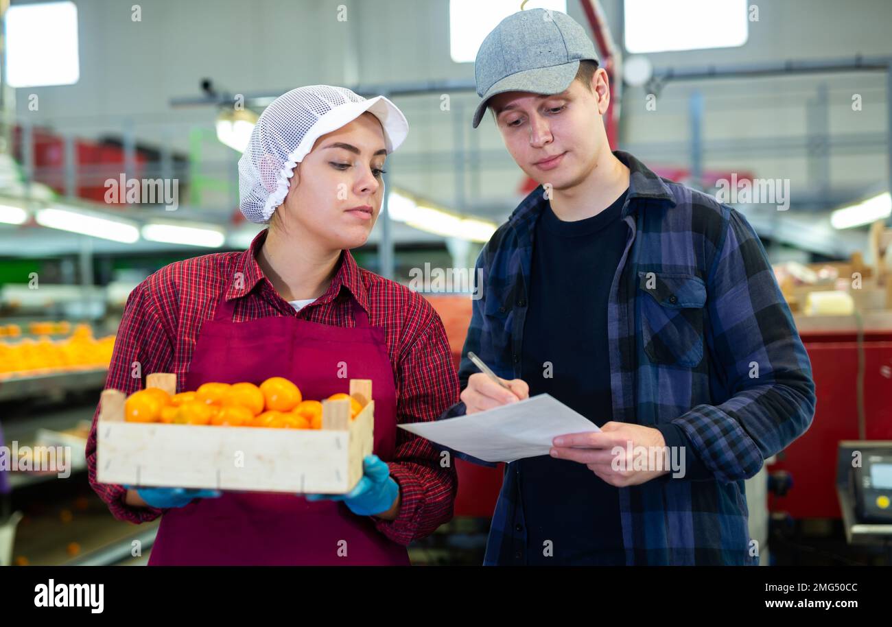 Giovane manager inventariando le scatole con mandarini portati da ragazza operatrice Foto Stock