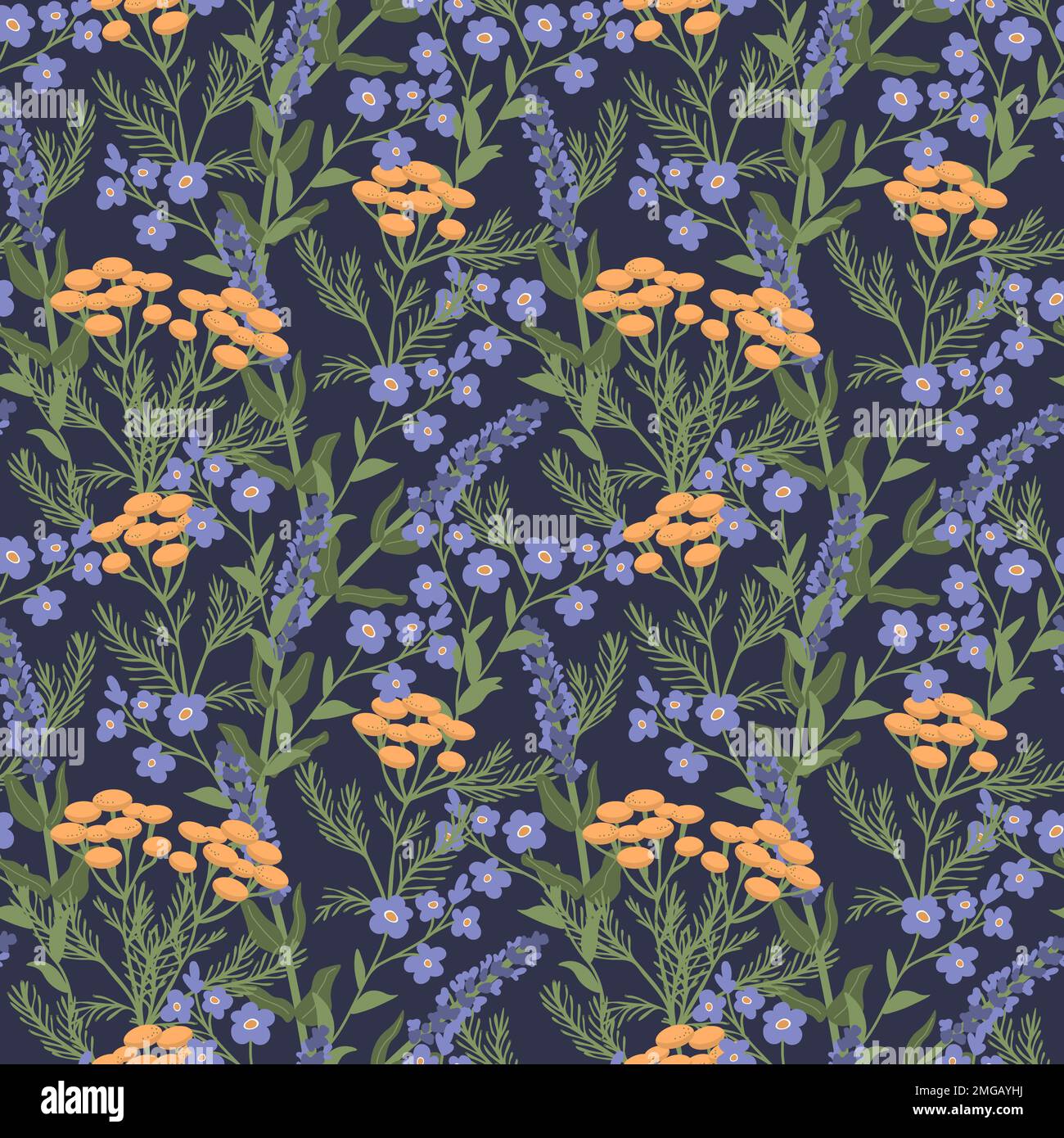 Modello di prato senza cuciture con tansy, salvia e dimentica-me-not Illustrazione Vettoriale