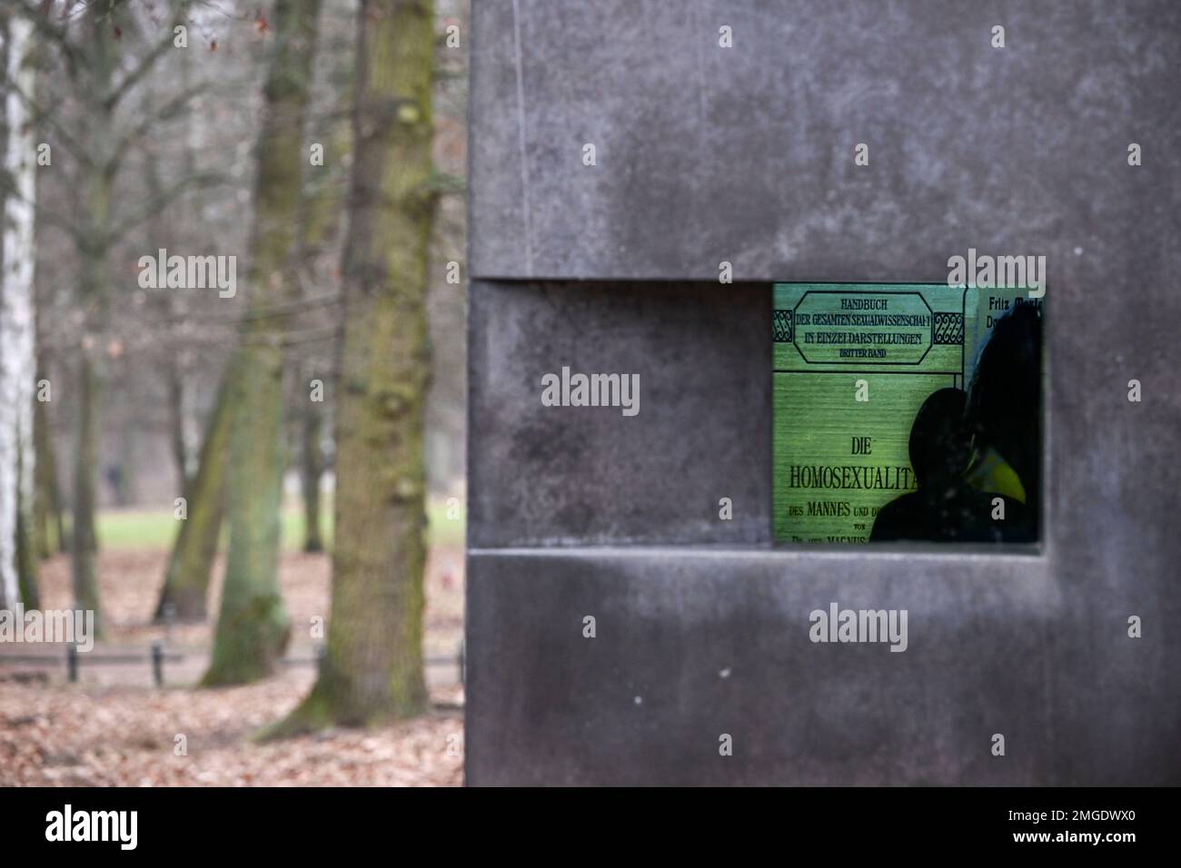 Berlino, Germania. 25th Jan, 2023. Il memoriale per gli omosessuali perseguitati sotto il nazionalsocialismo nel Tiergarten. Credit: Jens Kalaene/dpa/Alamy Live News Foto Stock