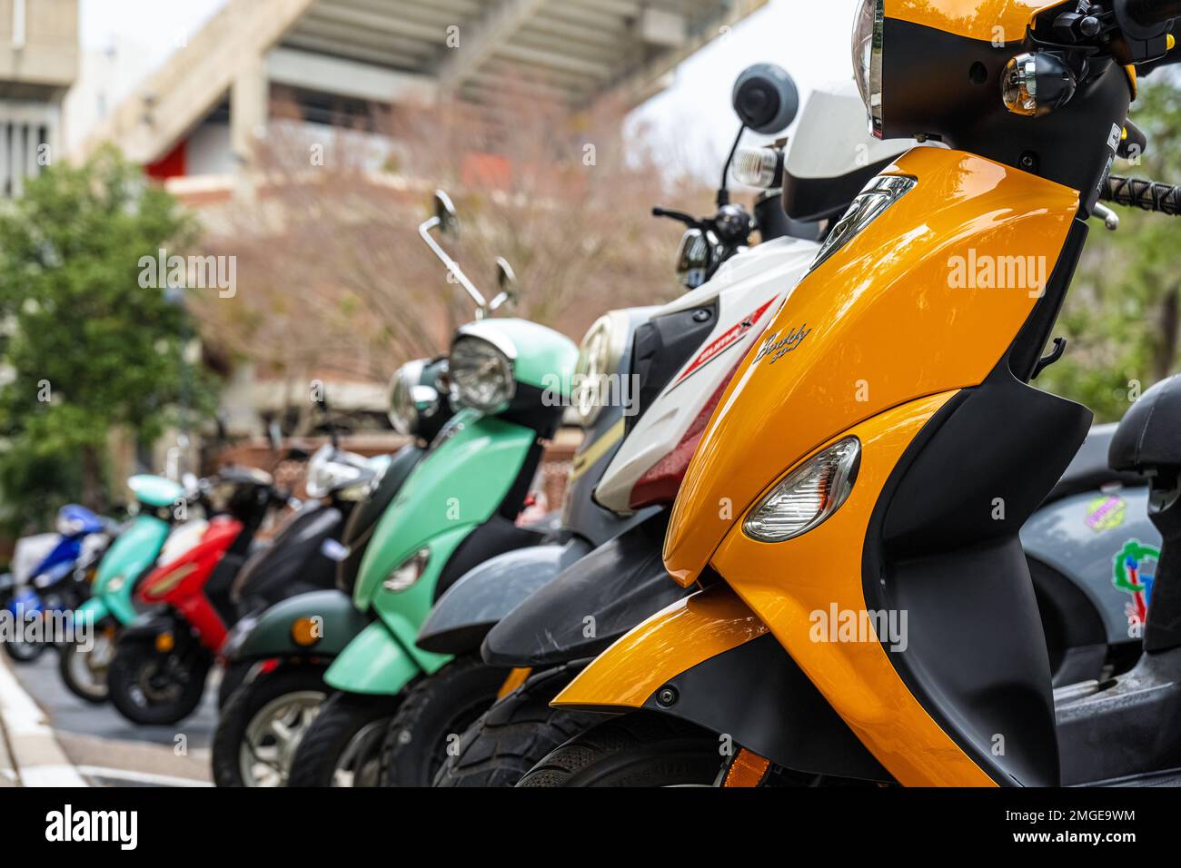 Fila di scooter e ciclomotori nel campus della University of Florida vicino al ben Hill Griffin Stadium di Gainesville, Florida. (USA) Foto Stock