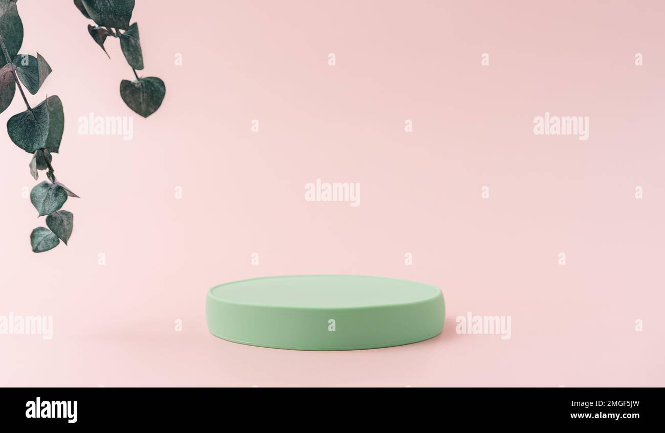 Podio verde rotondo accanto al ramo di eucalipto su sfondo rosa Foto Stock