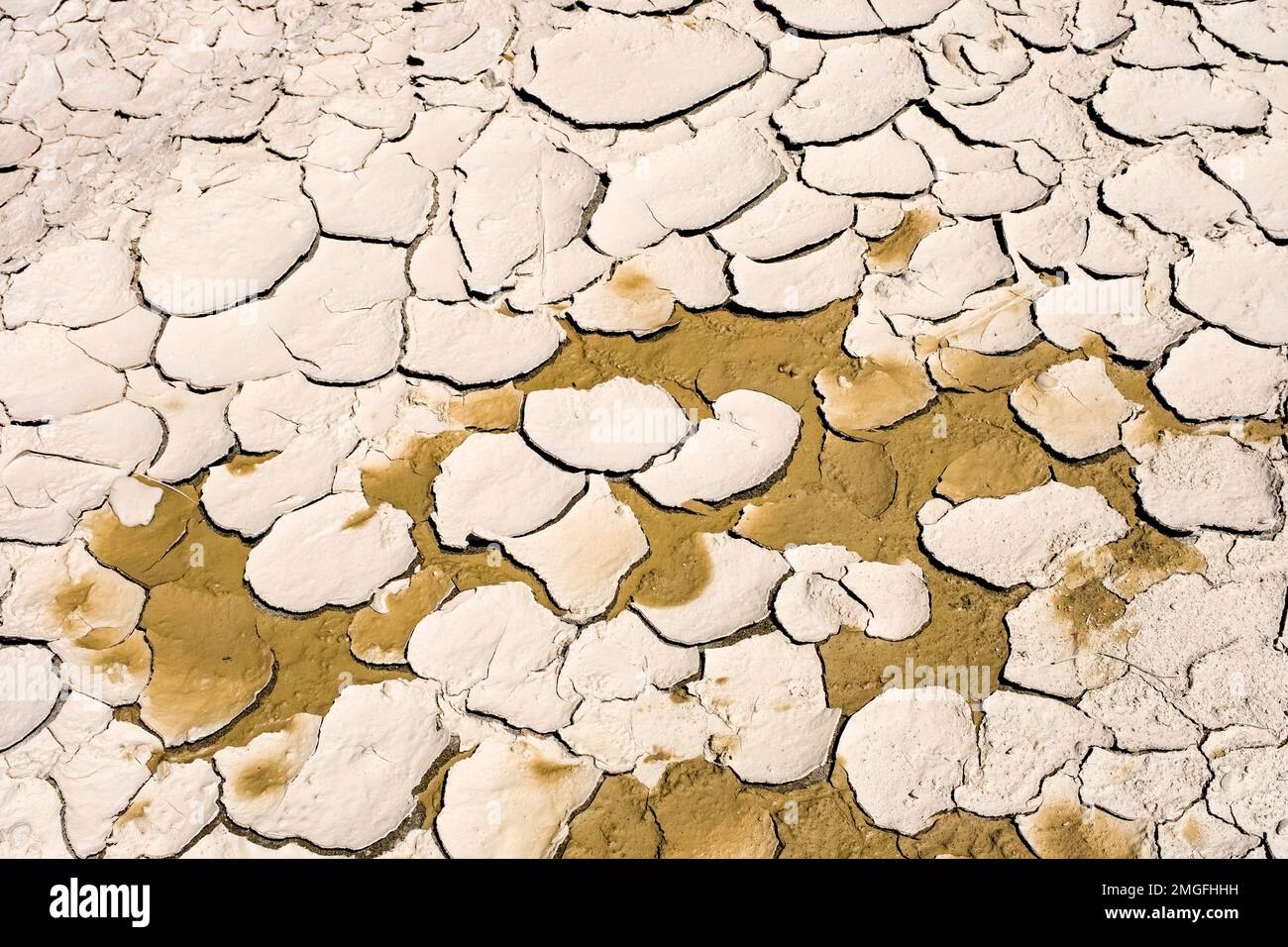 Suolo asciutto, rotto dopo una siccità lunga. Foto Stock