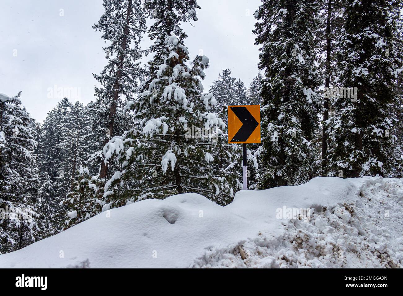 Bella vista di Gulmarg durante la stagione invernale circondato da montagne ghiacciate Himalaya ghiaccio e verde abete e pino nella foresta. Gulmarg neve Foto Stock