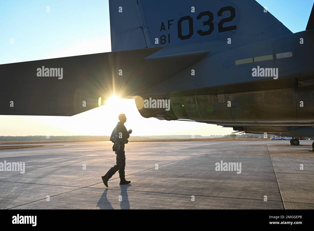 STATI UNITI Cam Garrison pilota di 67th Fighter Squadron F 15