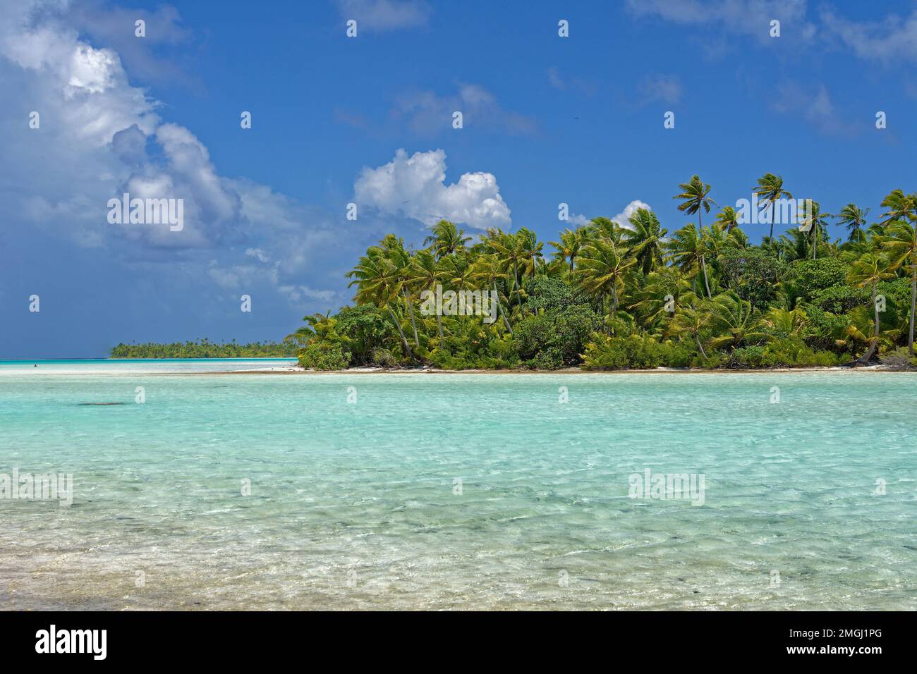 Polinesia francese, Rangiroa: L'isolotto della Laguna Blu (“motu”) Foto Stock