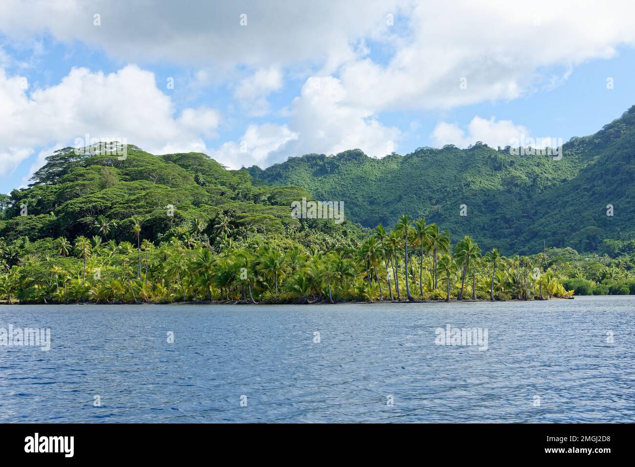 Polinesia Francese, Tahaa'a (o Tahaa): Paesaggio dell'isola di Tahaa'a, con la costa e la sua vegetazione lussureggiante Foto Stock