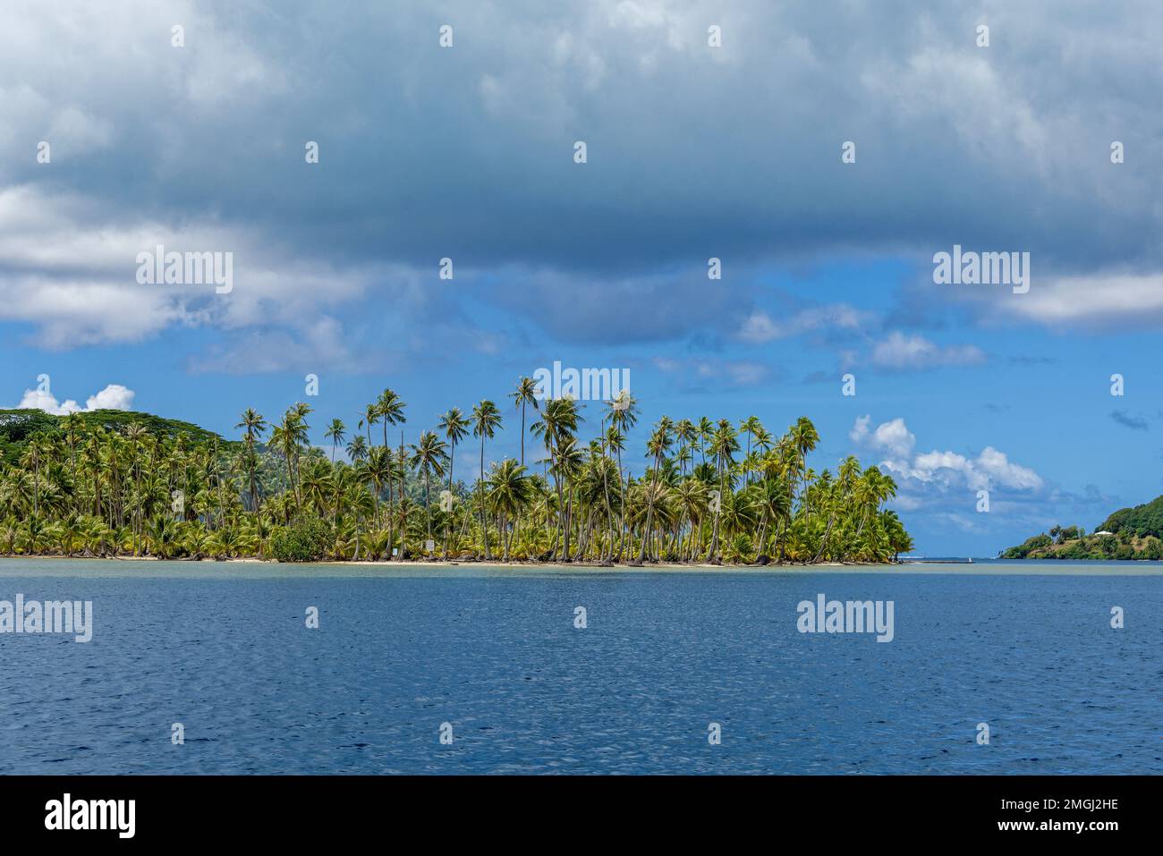 Polinesia Francese, Tahaa'a (o Tahaa): Paesaggio dell'isola di Tahaa'a, con la costa e la sua vegetazione lussureggiante Foto Stock