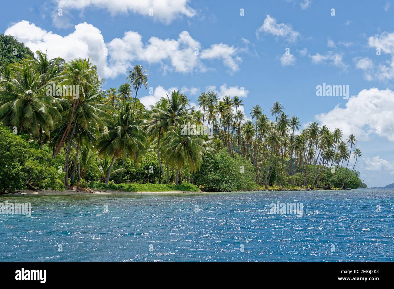 Polinesia Francese, Tahaa'a (o Tahaa): Paesaggio dell'isola di Tahaa'a, con la costa e la sua vegetazione lussureggiante Foto Stock