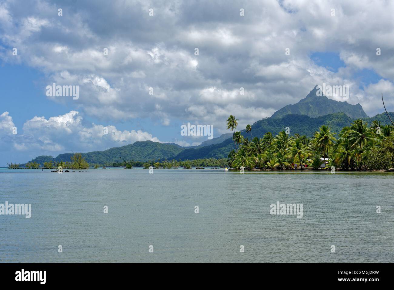 Polinesia Francese, Raiatea: Paesaggio con la laguna e la montagna sulla costa occidentale Foto Stock