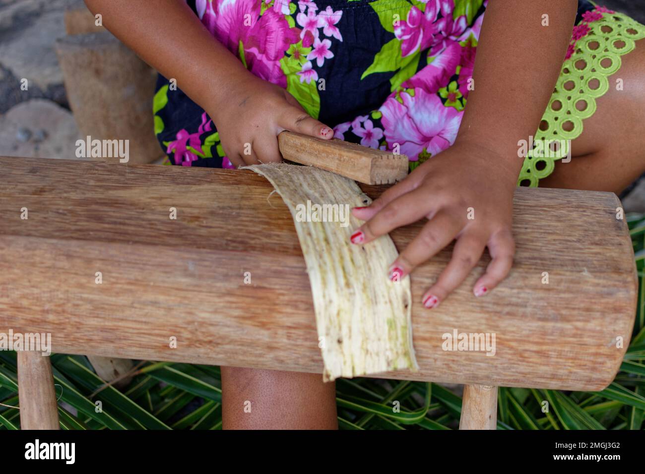 Polinesia Francese, Isole Marquesas, UA Pou: Giovane ragazza che fa una tela di tapa, una stoffa di barkcloth fatta dalla corteccia interna di gelso di carta o di pane Foto Stock