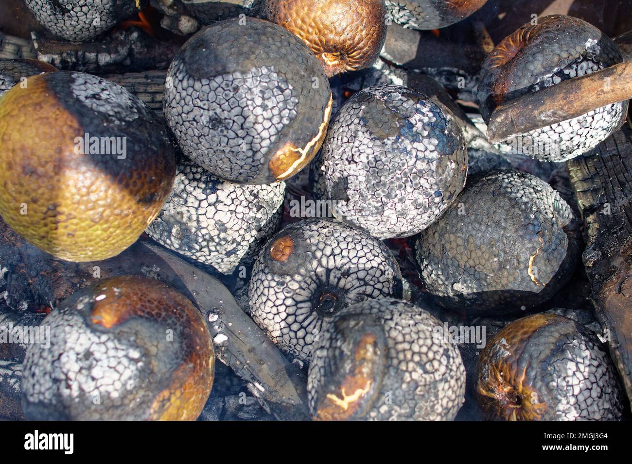 Polinesia Francese, Isole Marquesas, UA Pou: Pane (artocarpus altilis) arrosto su un fuoco di legno Foto Stock