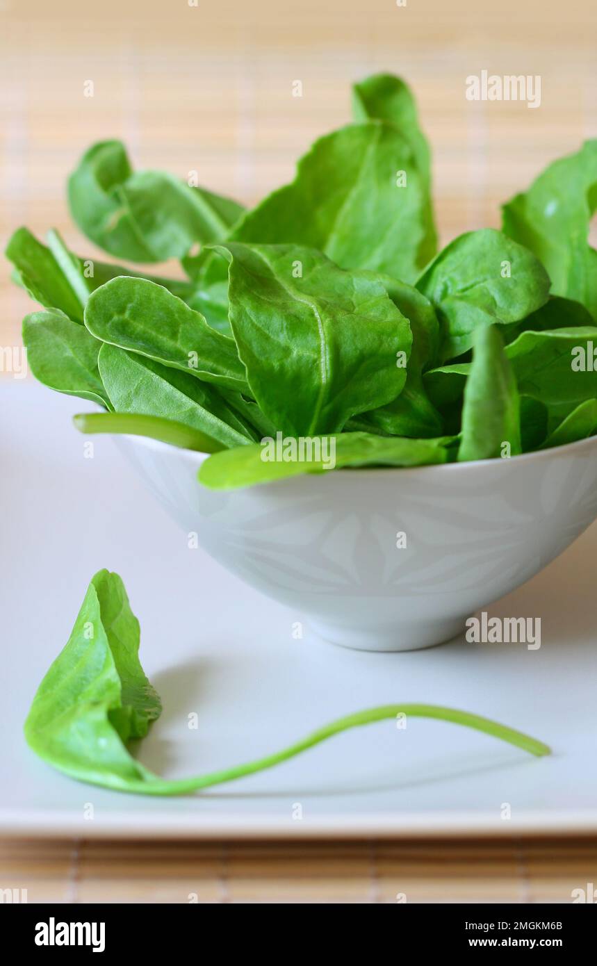 Ciotola di spinaci freschi Foto Stock