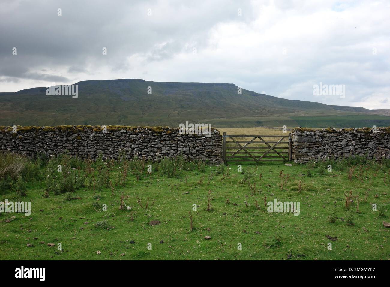 "Wild Boar Fell" dalla Lady Anne Clifford's Highway (passerelle) su Mallerstang Common nella Eden Valley, Yorkshire Dales National Park, Inghilterra, Regno Unito Foto Stock