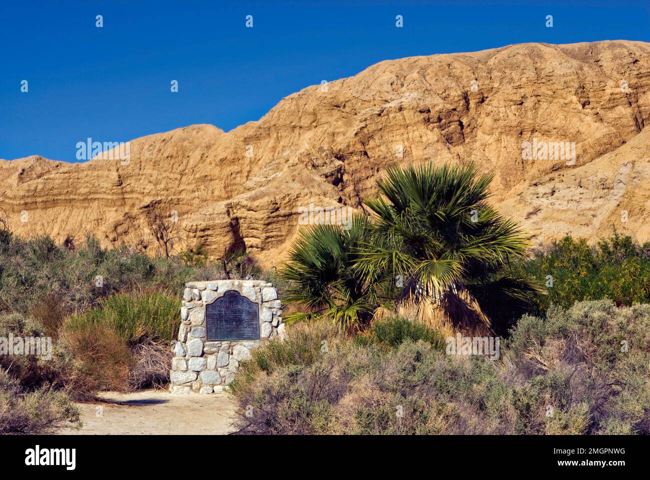Palme fan del deserto, cartello interpretativo presso Palm Spring Butterield Stageline station Oasis, Anza Borrego Desert Park, California, USA Foto Stock