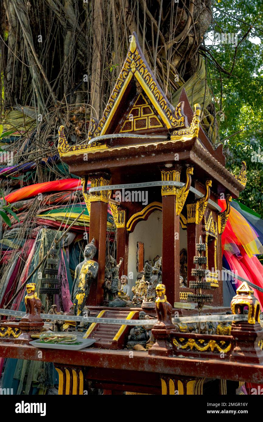 Una casa di spirito con vecchio albero banyan dietro. Casa tradizionale tailandese in miniatura costruita per lo spirito guardiano di risiedere. Foto Stock