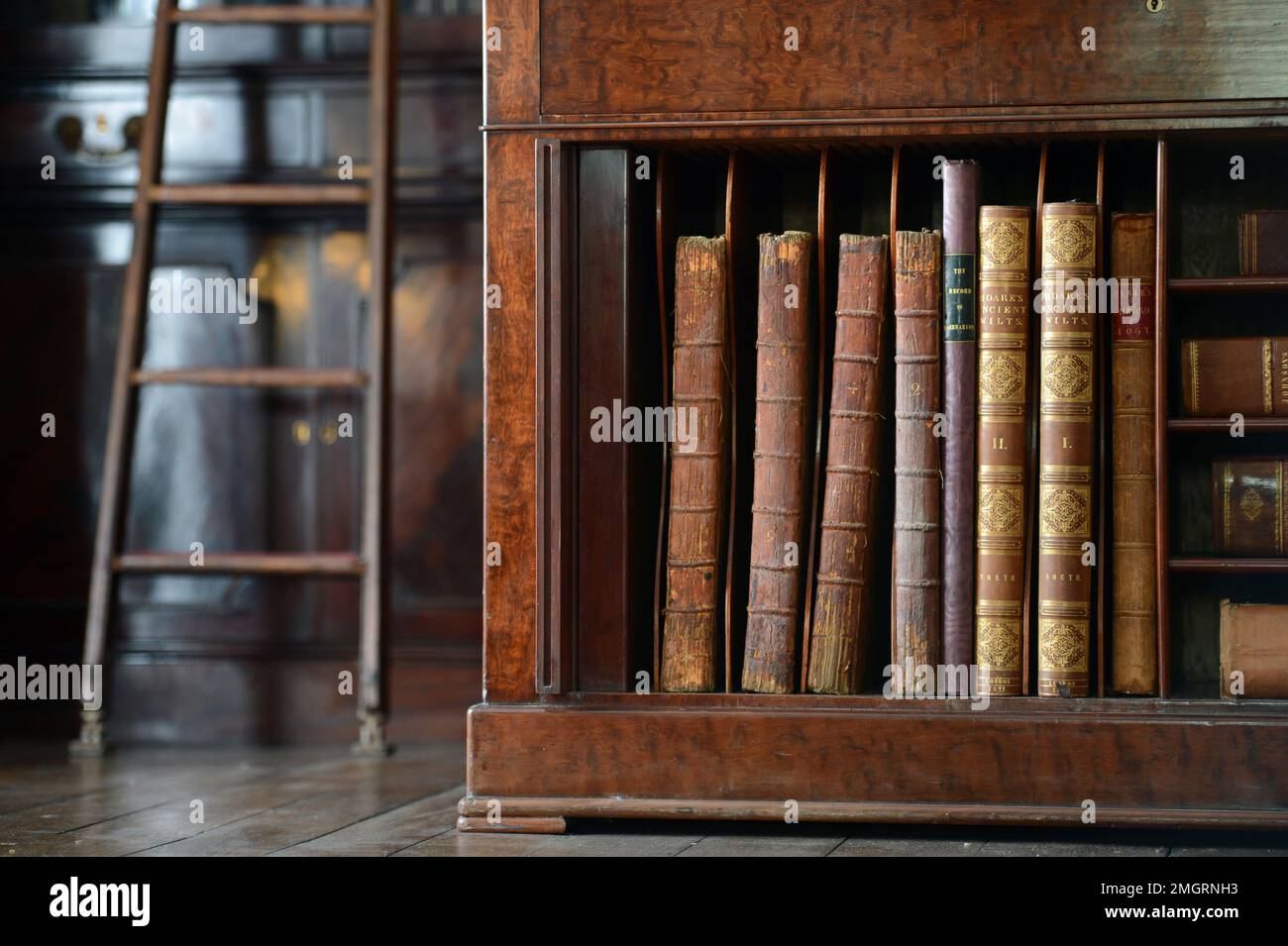 Una biblioteca in un palazzo di campagna inglese. Foto Stock
