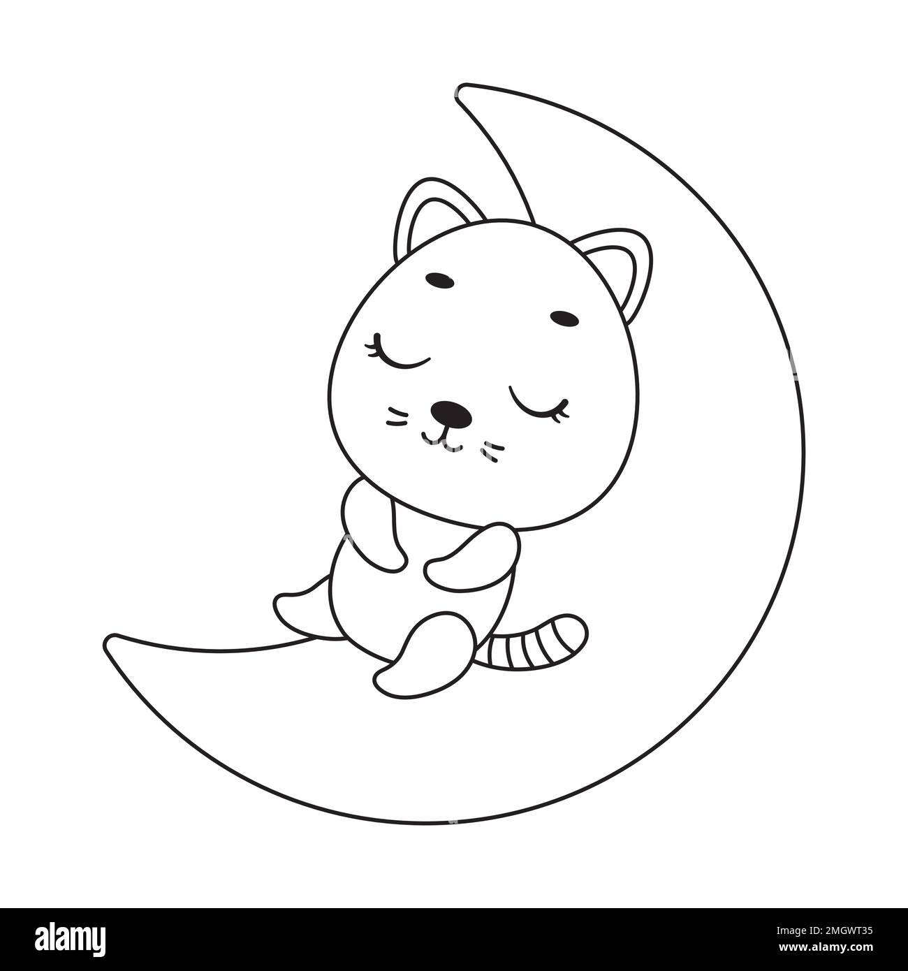 Kiub - Tovaglietta Da Pranzo Gatto Che Dorme Sui Libri - Collezione Gatti - Tovaglietta In French Design, Lavabile E Resistente