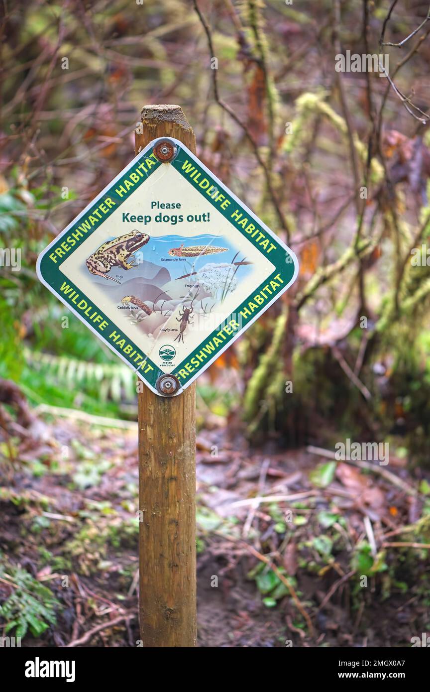 Wildlife Habitat - Freshwater Habitat segno pubblicato in un parco locale a 'si prega di tenere i cani fuori'. Metro Vancouver, B. C., Canada - verticale Foto Stock