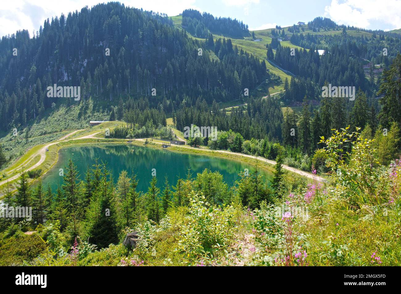 Austria, escursione sulla Kitzbüheler Streif Foto Stock