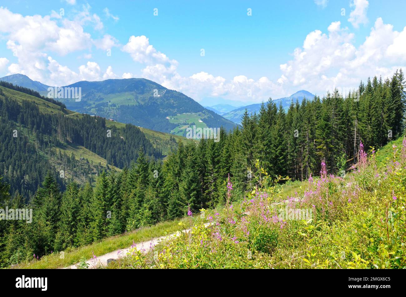 Austria, escursione sulla Kitzbüheler Streif Foto Stock