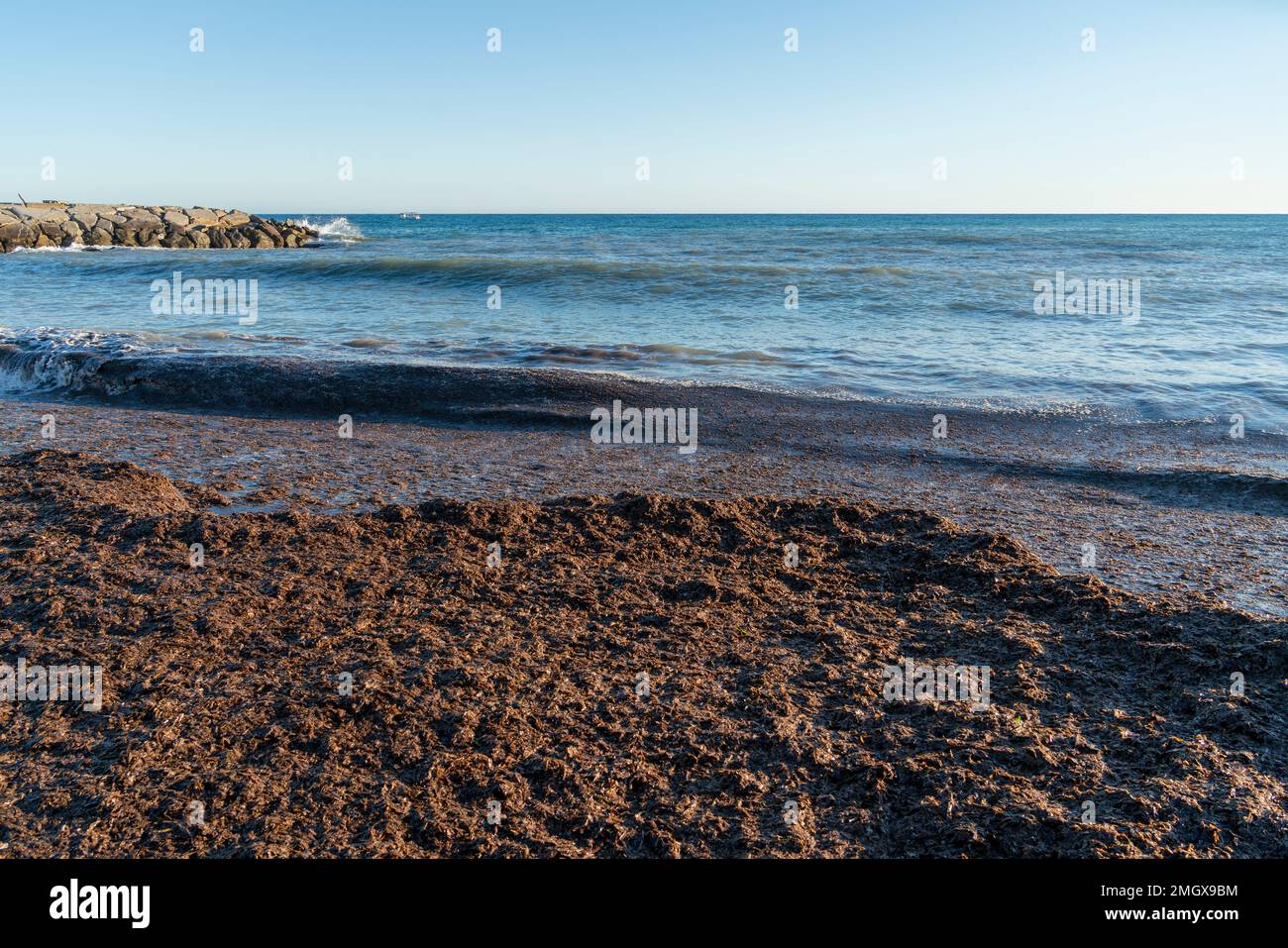 Paesaggio della spiaggia intorno a Santo Stefano al Mare, un comune della provincia di Imperia in Liguria Foto Stock