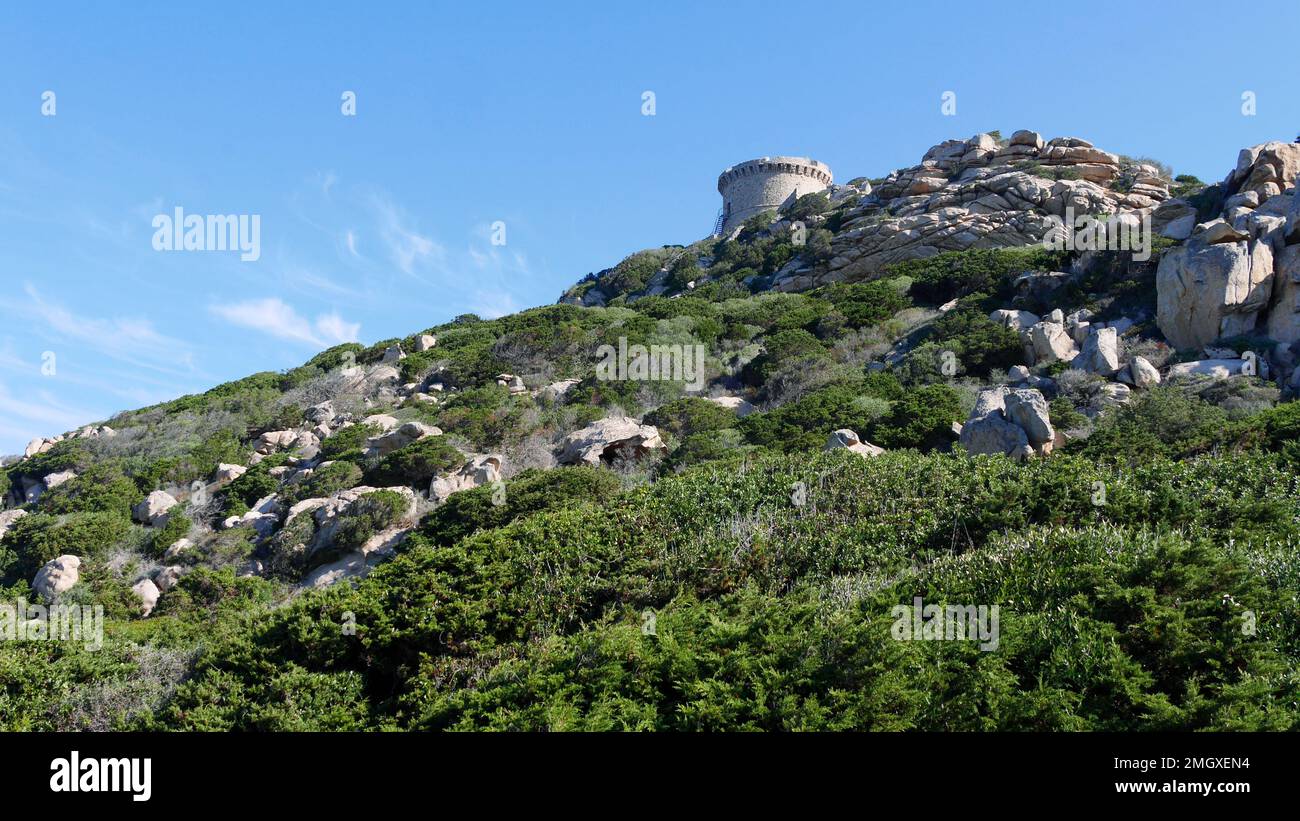 spiaggia di Campomoro, isola di Corsica Foto Stock