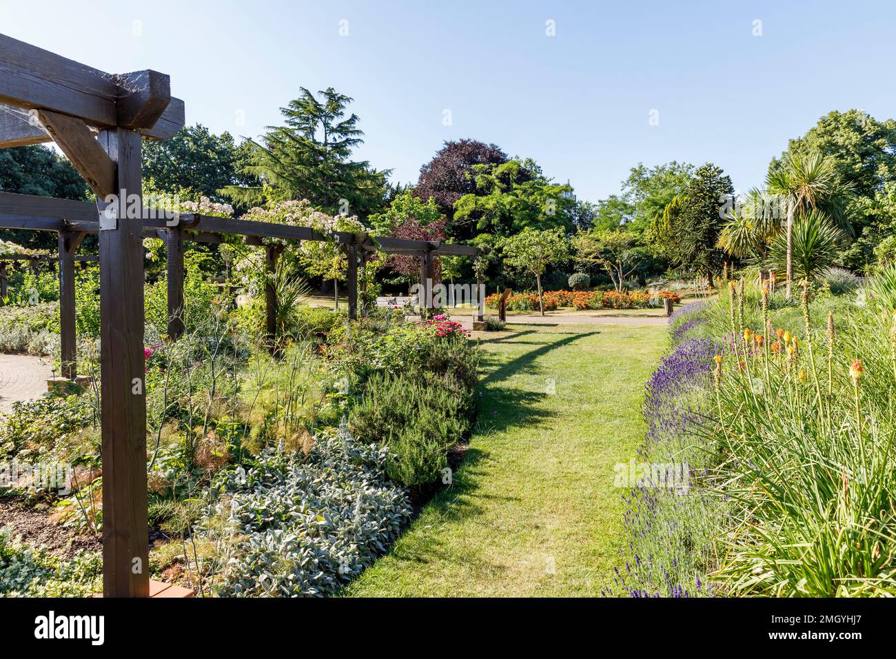 Forest Gate, Fotografia locale Foto Stock