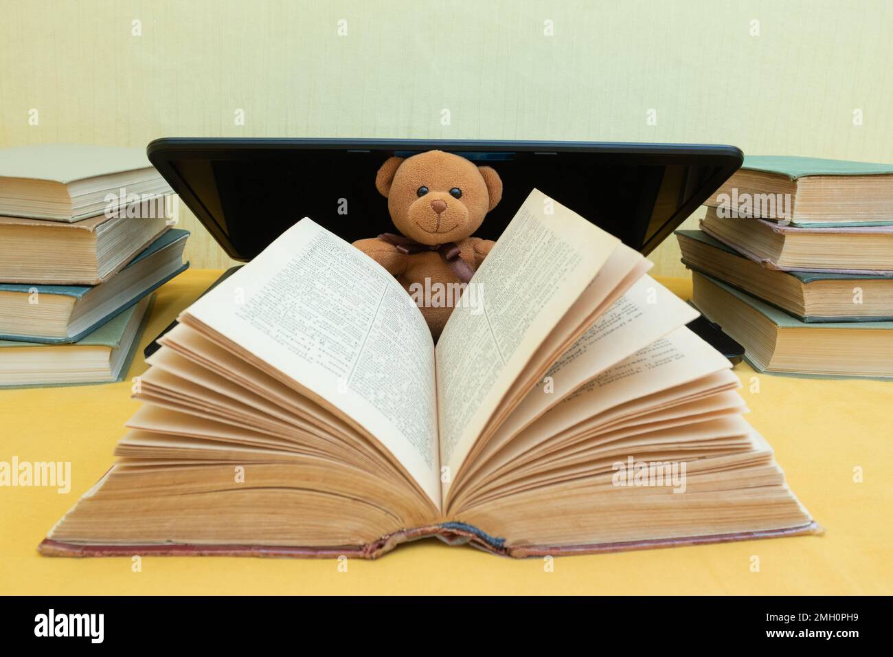 Piccolo orsacchiotto con libri e computer portatile, spazio copia. Foto Stock