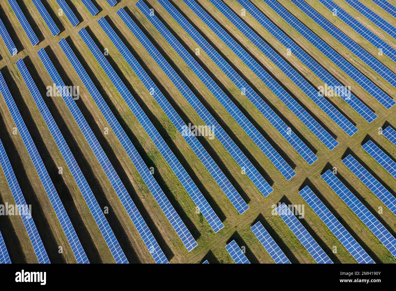 Vista aerea su pannelli solari di centrale fotovoltaica / parco solare per la fornitura di energia elettrica, Meclemburgo-Pomerania anteriore, Germania Foto Stock