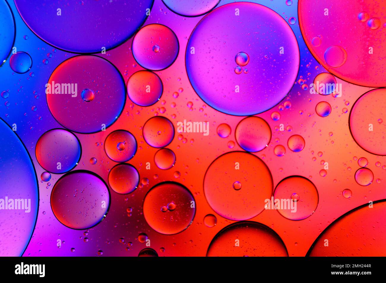 Rosso e viola colorato artistico di olio sull'acqua. Astratto colorato bolle d'olio per sfondo. cartolina leggera per le vacanze Foto Stock