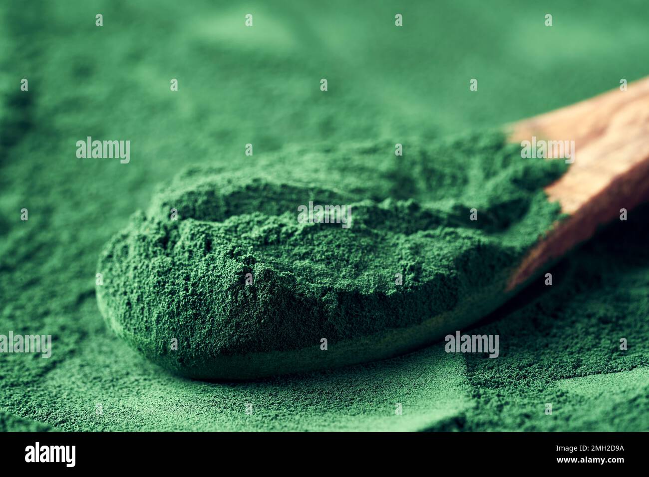 Polvere di alghe Spirulina su un cucchiaio di legno, primo piano. Integratore nutrizionale sano Foto Stock