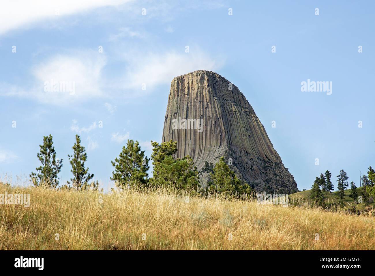 Devils Tower nel Wyoming USA in un paesaggio estivo soleggiato Foto Stock