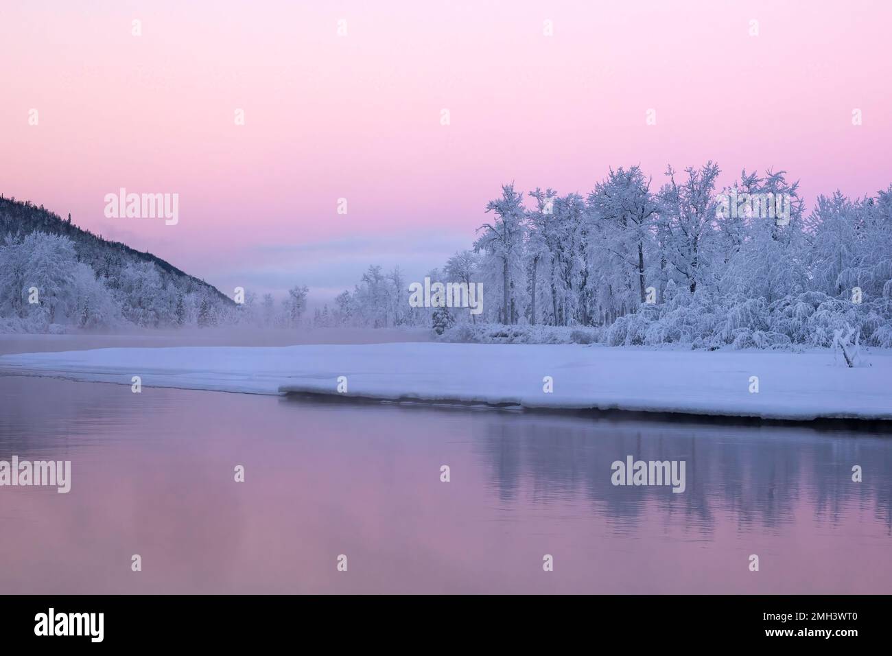 I pastelli rosa di Sunrise aggiungono calore al freddo paesaggio invernale lungo le rive del fiume Knik nell'Alaska centro-meridionale. Foto Stock