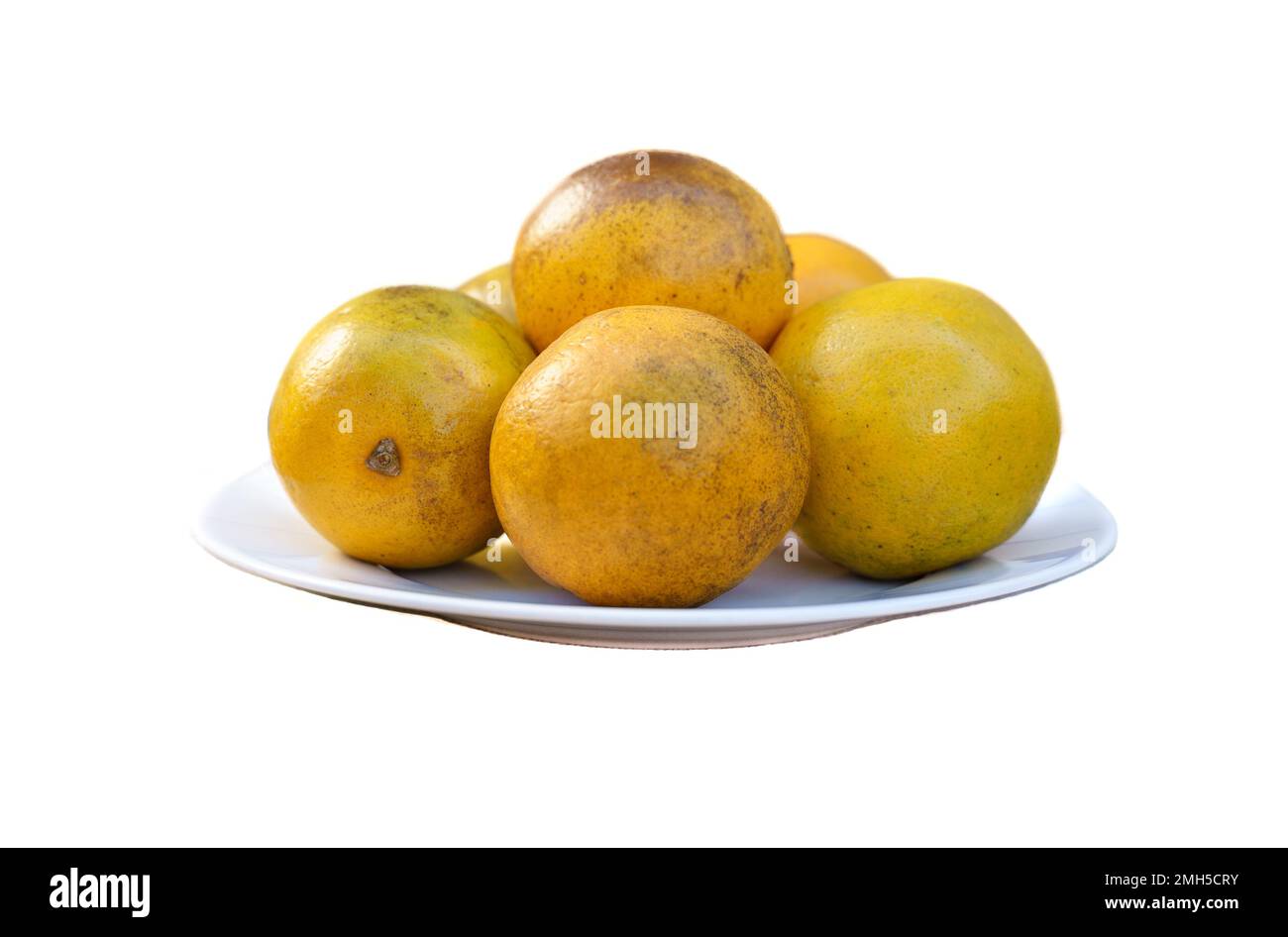 Arancio Florida su un piatto bianco. Sono dolci, succosi e deliziosi. In una giornata calda o dopo una lunga giornata di lavoro, una bevanda di succo d'arancia è un rimedio ideale Foto Stock