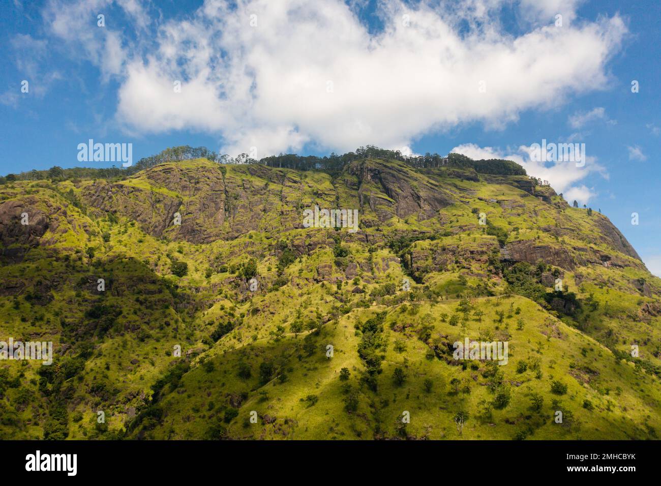 Drone aereo di pendici di montagne e colline con vegetazione verde e alberi. Paesaggio di montagna in Sri Lanka. Foto Stock