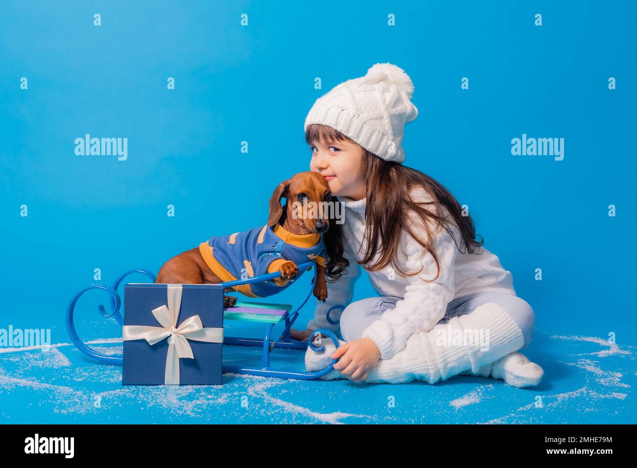 carino piccola bruna ragazza in un cappello bianco lavorato a maglia e maglione è sledding un cane dachshund con regali su uno sfondo blu in studio, spazio per il testo Foto Stock