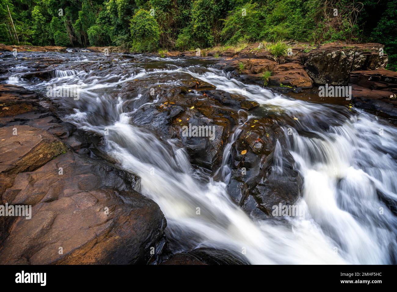 Cascate sull'OBI OBI Creek vicino a Gardners Falls fuori Maleny, Sunshine Coast Hinterland, Queensland Australia Foto Stock